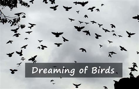 This color of the bird means that you are on the very of. . Dreaming of birds flying towards you in islam